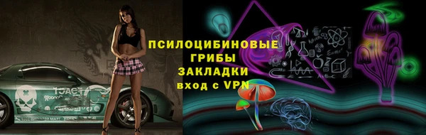ГАЛЛЮЦИНОГЕННЫЕ ГРИБЫ Навашино